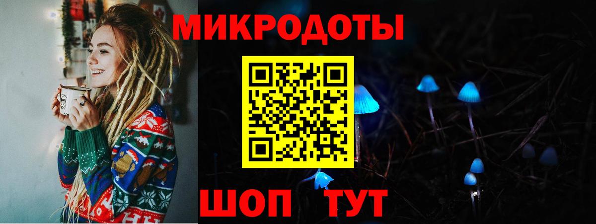 Галлюциногенные грибы Psilocybine cubensis  Вход с VPN  Верхняя Пышма 